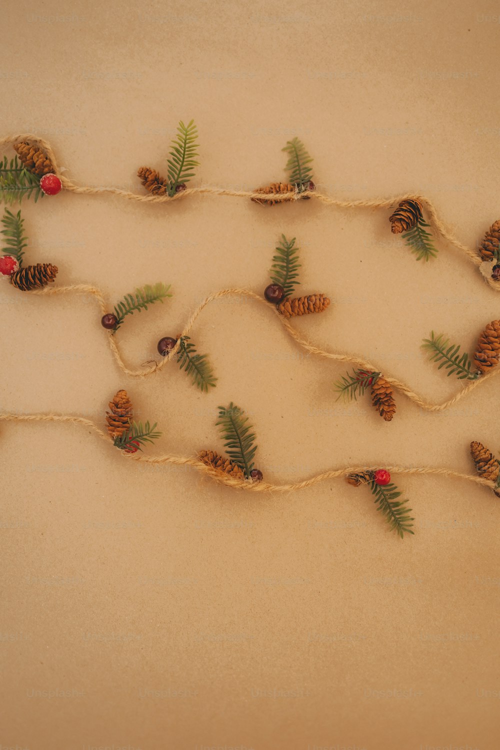a string with pine cones and pine cones on it