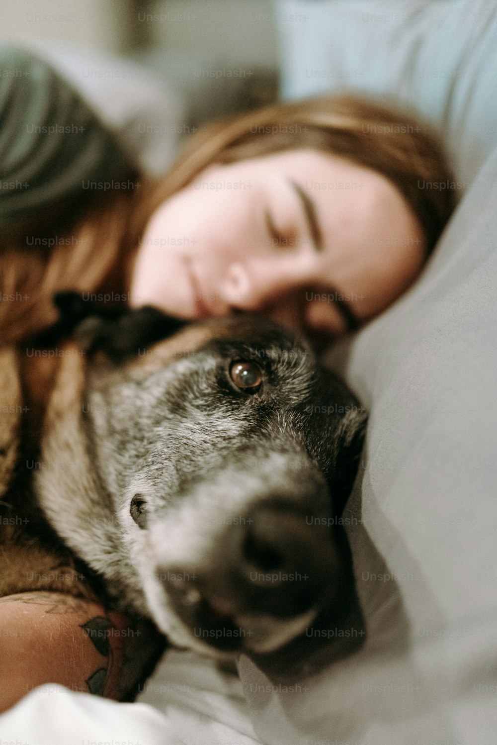 犬と一緒にベッドに横たわる女性