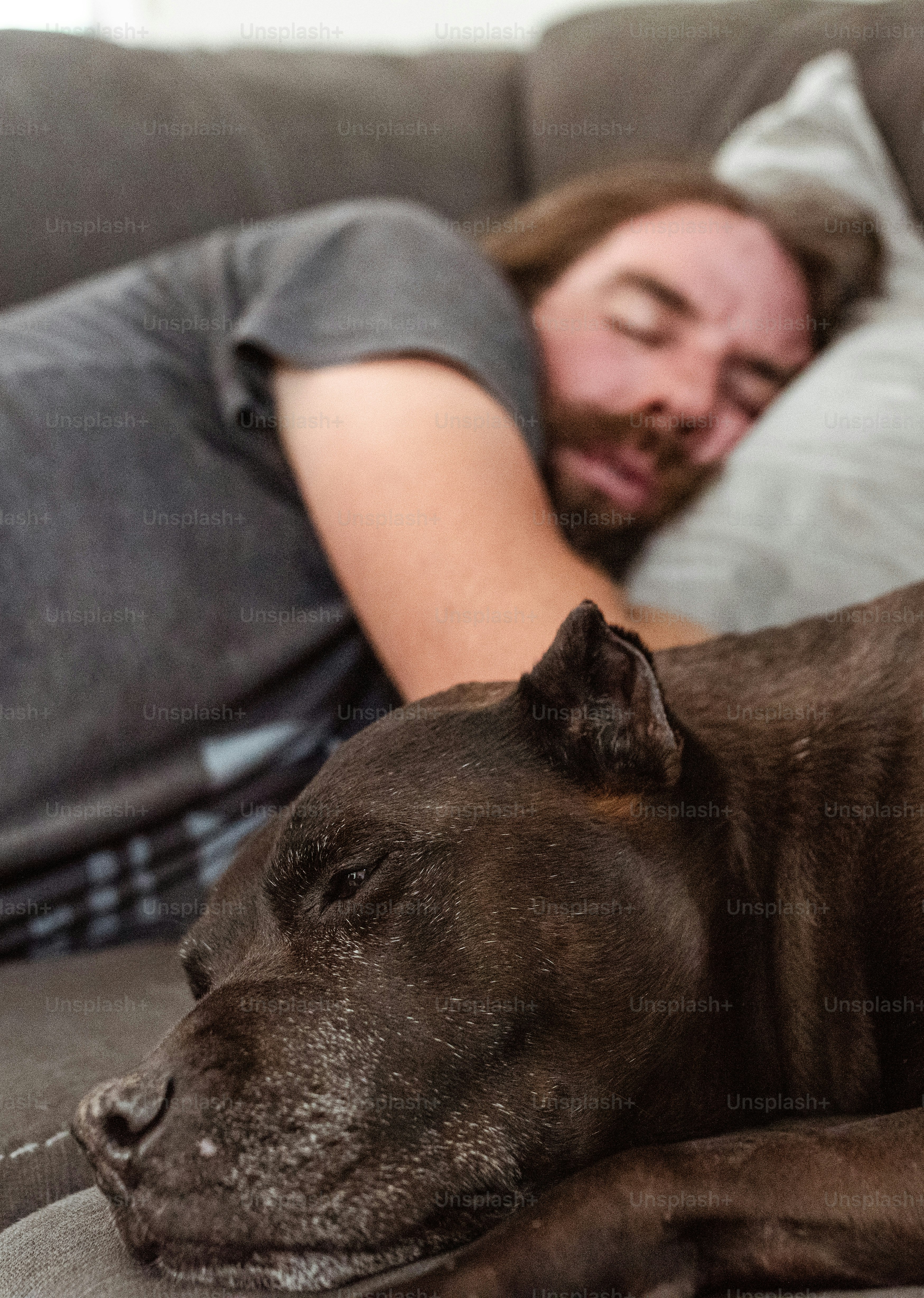 a man sleeping on a couch next to a dog