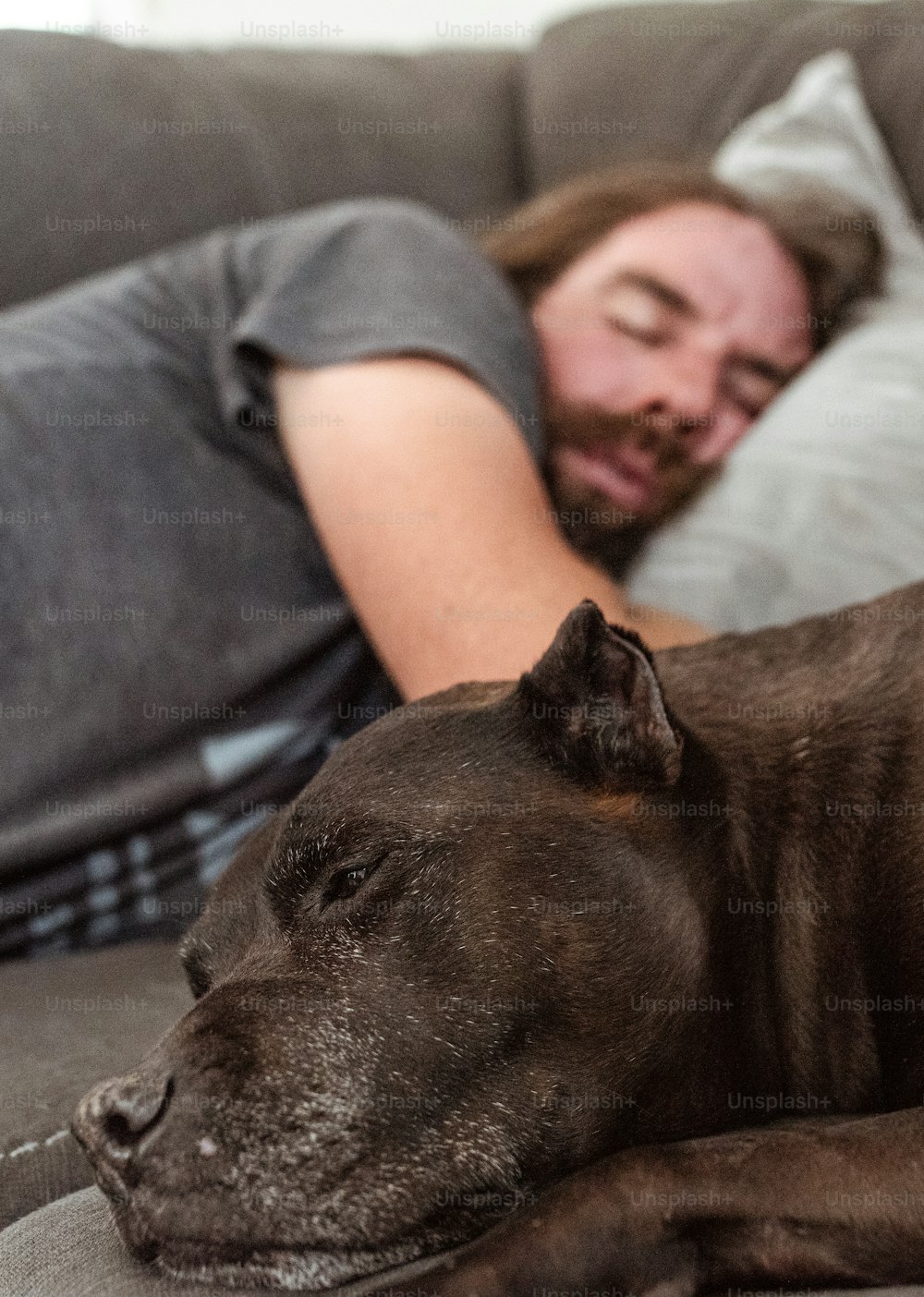 um homem dormindo em um sofá ao lado de um cachorro