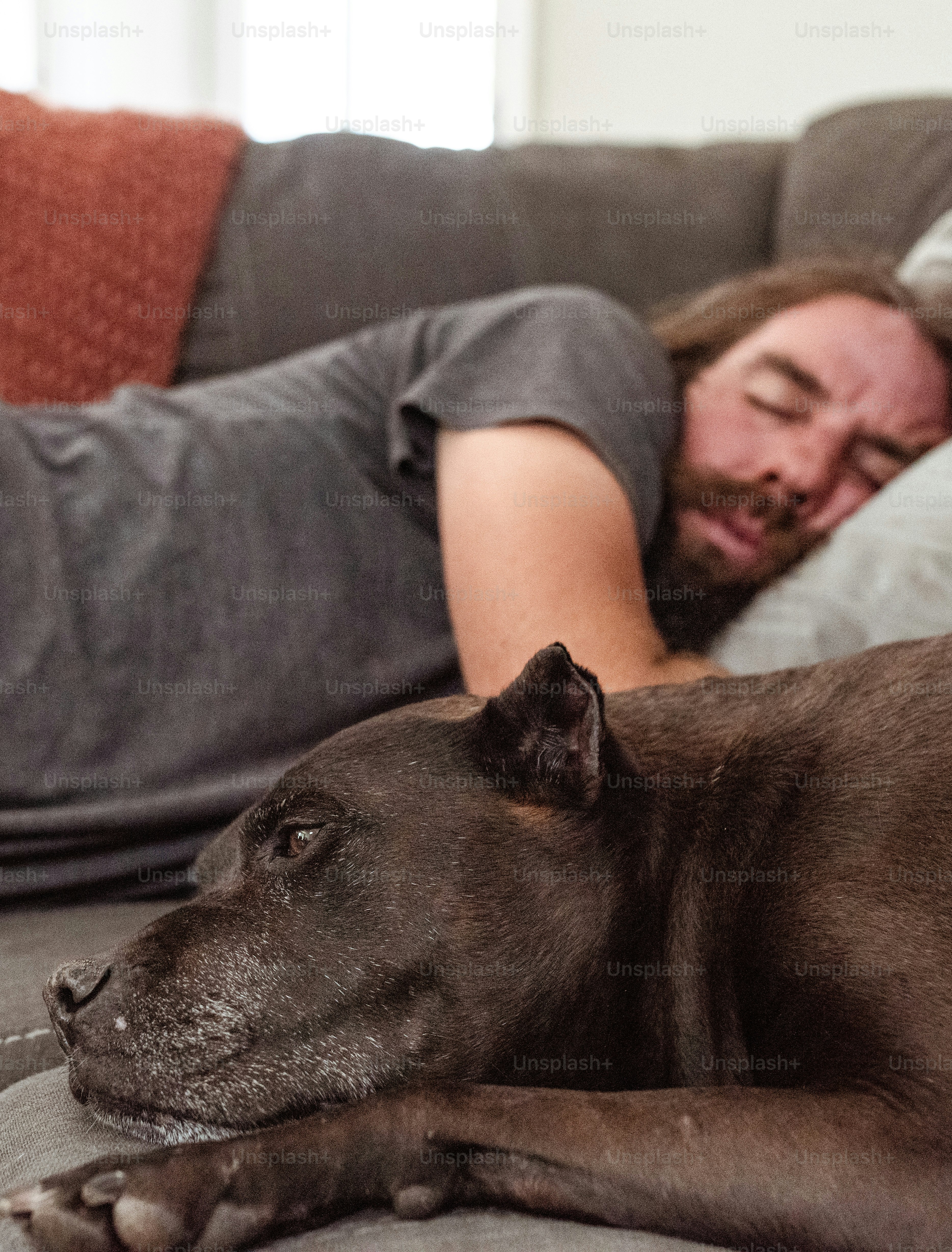 a man laying on a couch next to a dog
