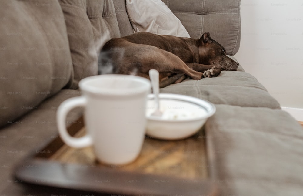 一杯のコーヒーの隣のソファで寝ている犬
