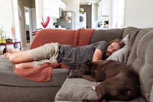 犬の隣のソファで寝ている男
