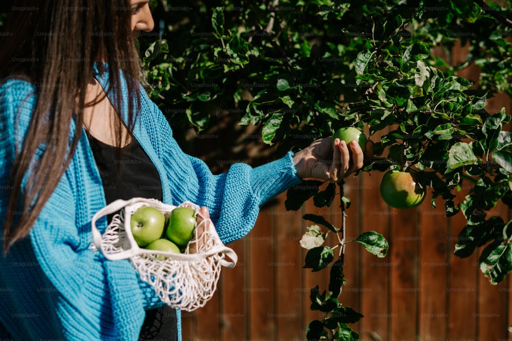 Una mujer sosteniendo una canasta de manzanas verdes