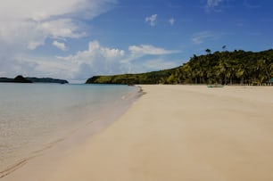 uma praia de areia com palmeiras e barcos na água