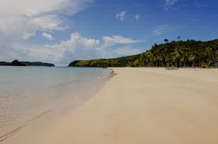 a sandy beach with palm trees and boats in the water