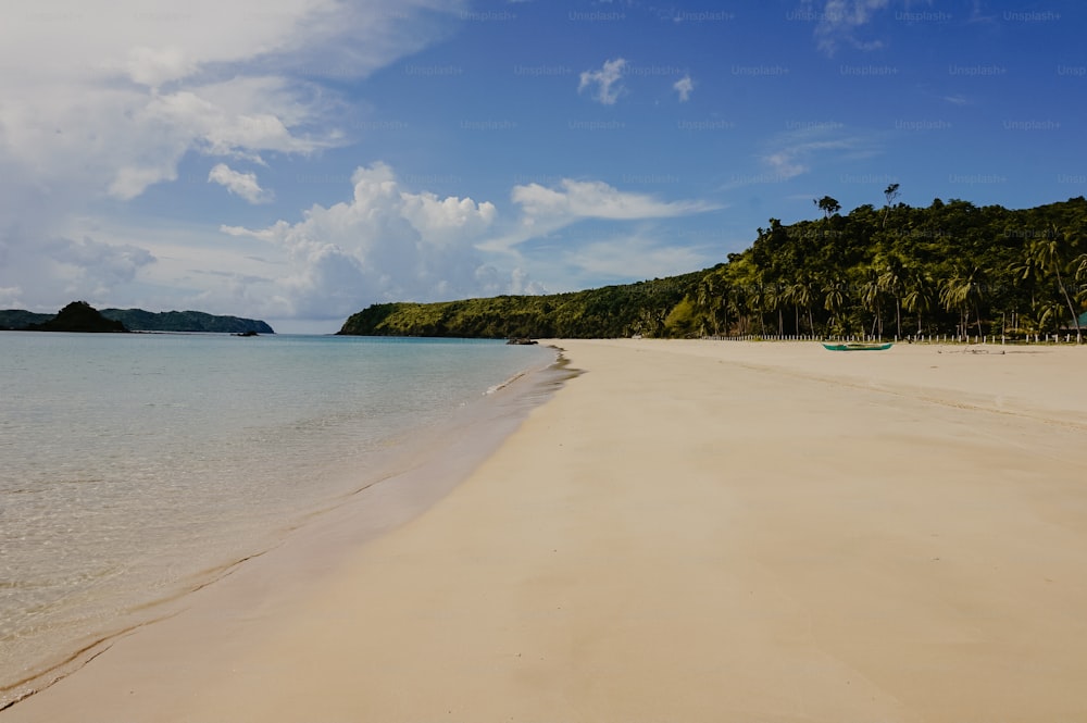 a sandy beach with palm trees and boats in the water