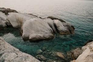 um corpo de água ao lado de uma costa rochosa