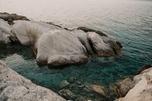 a body of water next to a rocky shore