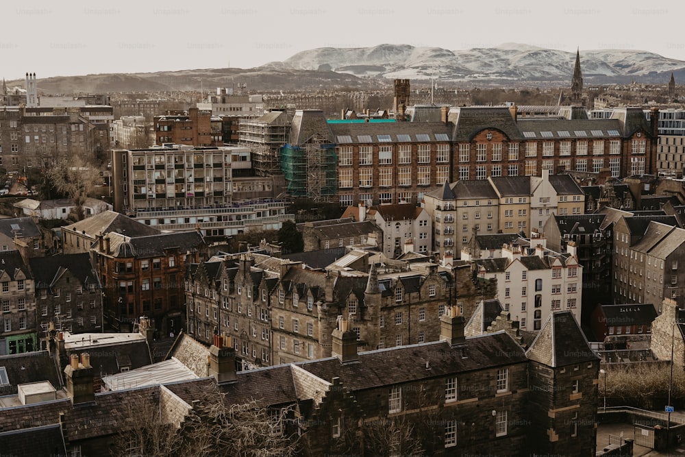 a view of a city with mountains in the background