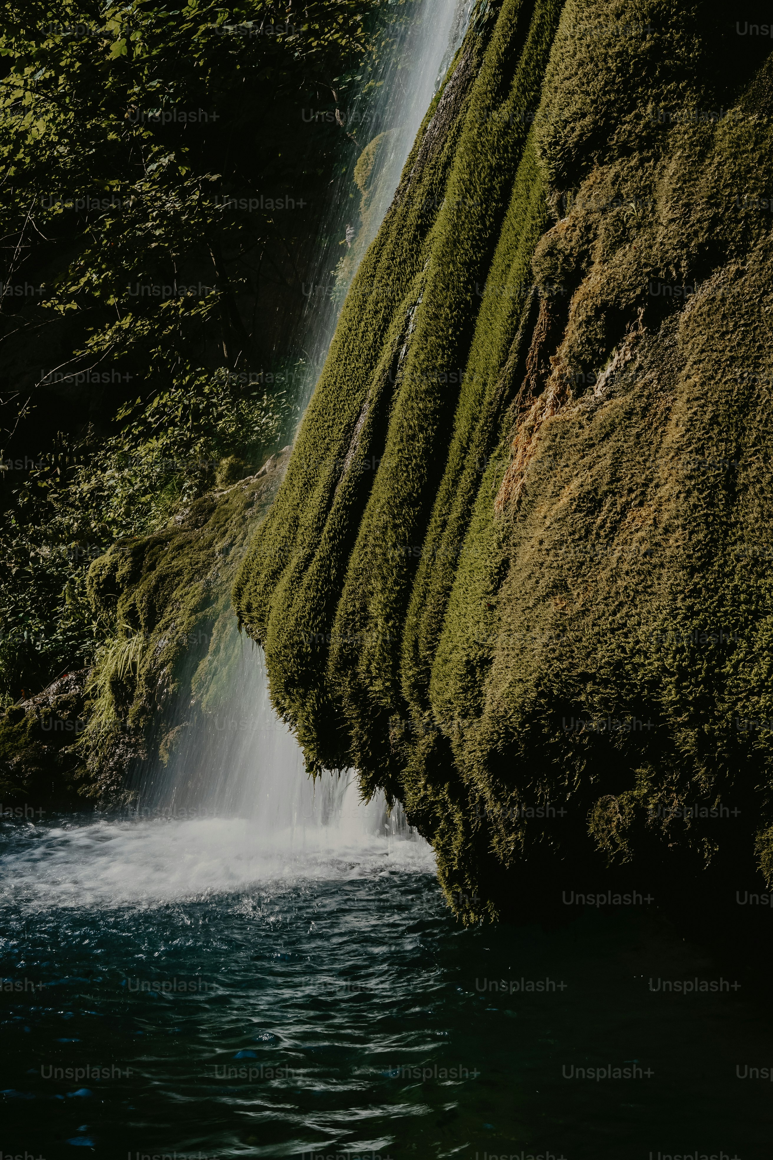 a waterfall is surrounded by lush green vegetation
