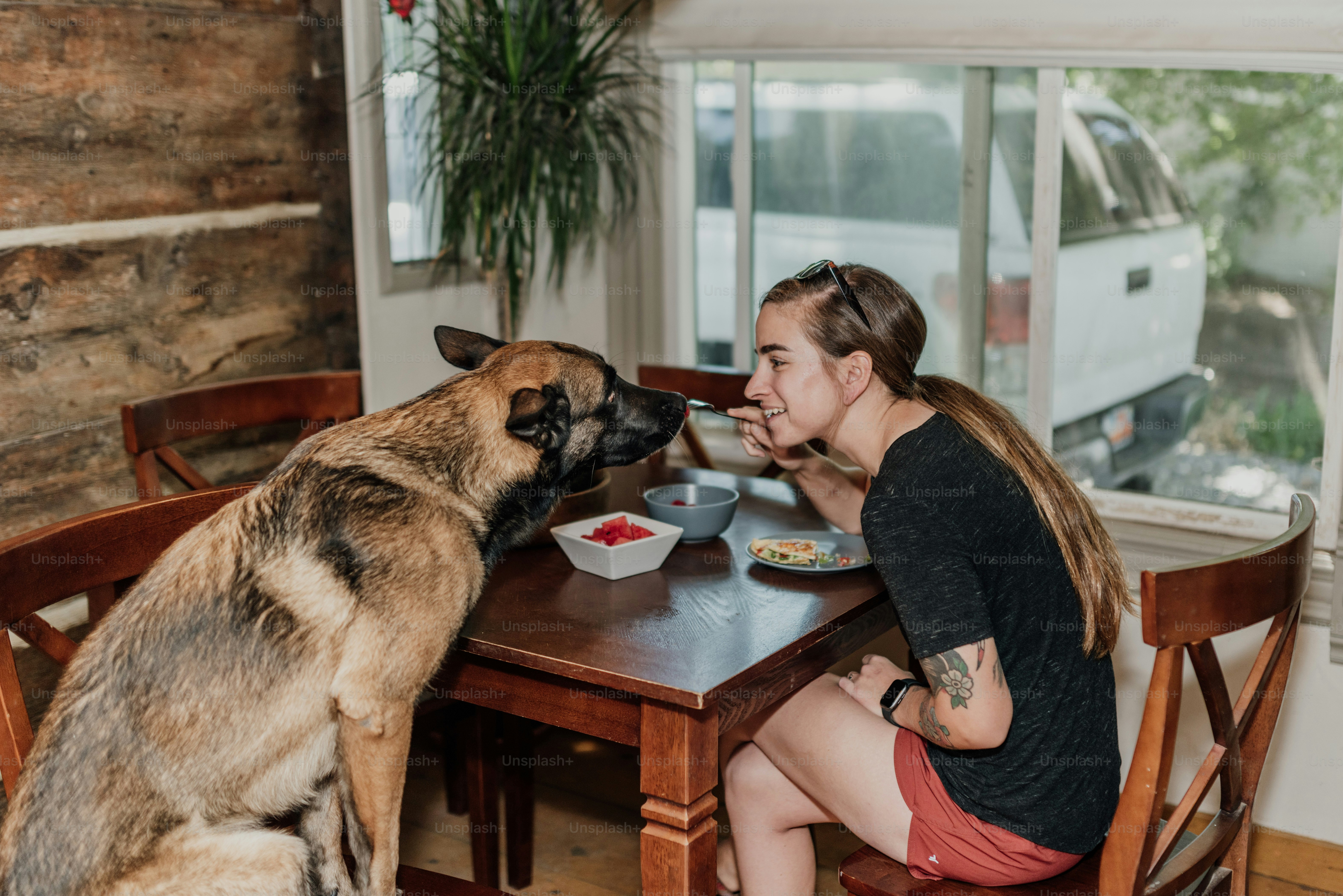 a woman sitting at a table with a dog