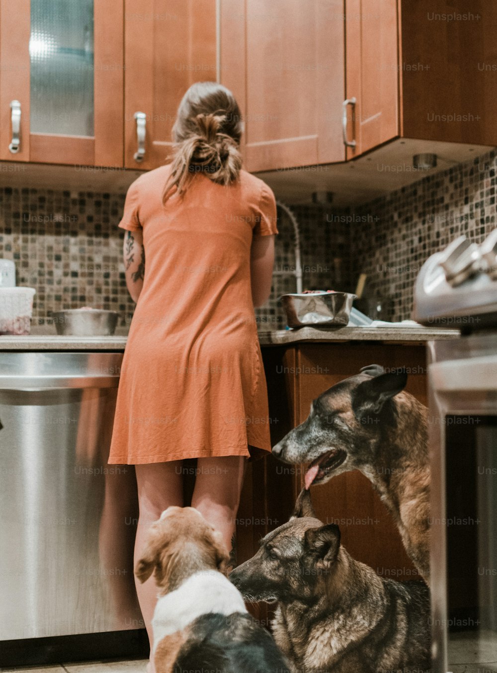 a woman standing in a kitchen with three dogs