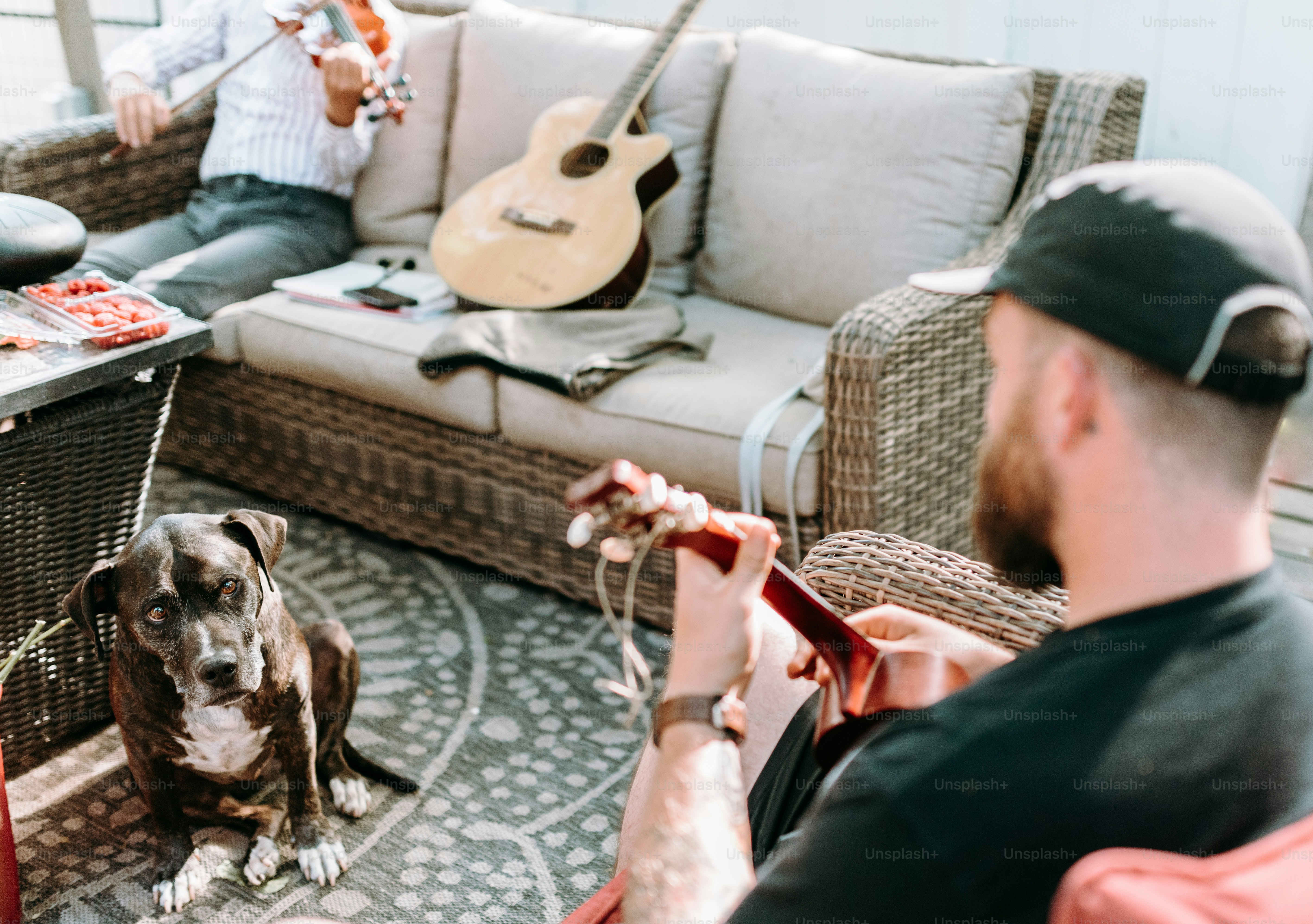 A man sitting on a couch next to a dog photo – Dog Image on Unsplash