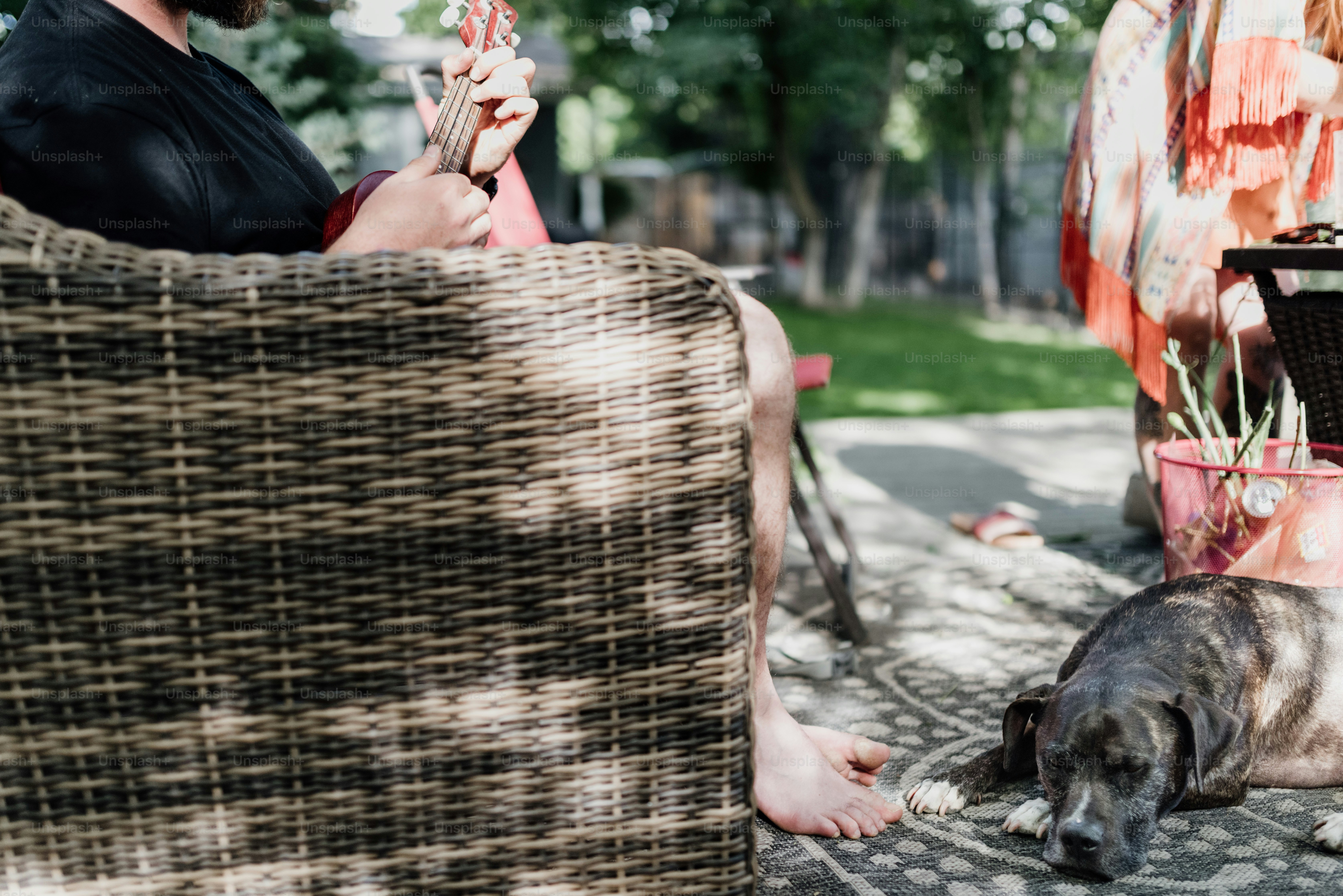 a man sitting in a chair next to a dog