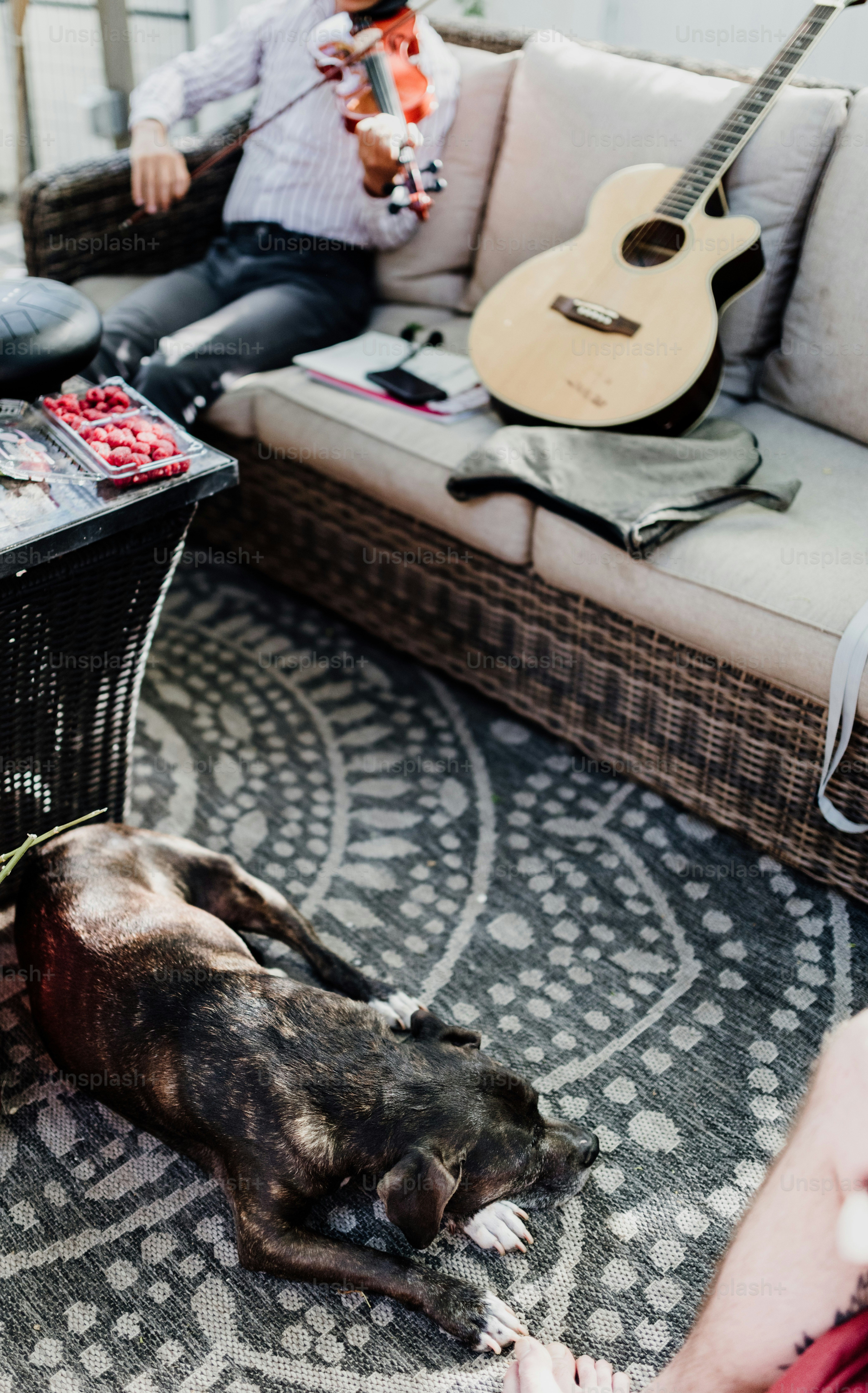 A man sitting on a couch next to a dog photo – Pet Image on Unsplash