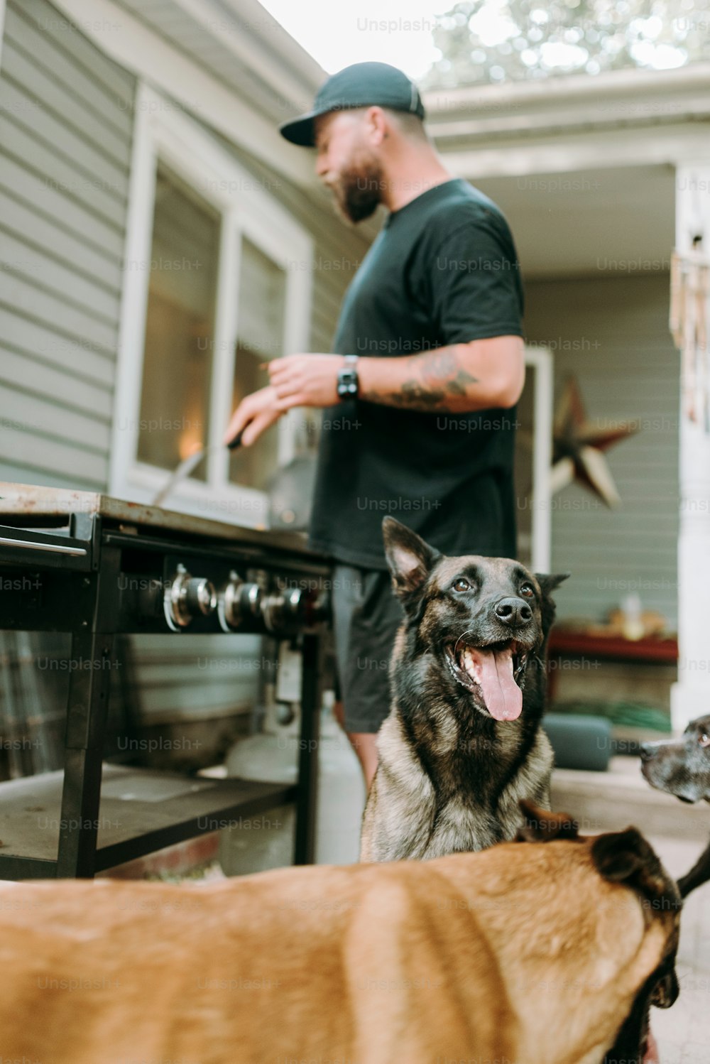 um homem grelhando em uma churrasqueira ao lado de dois cachorros