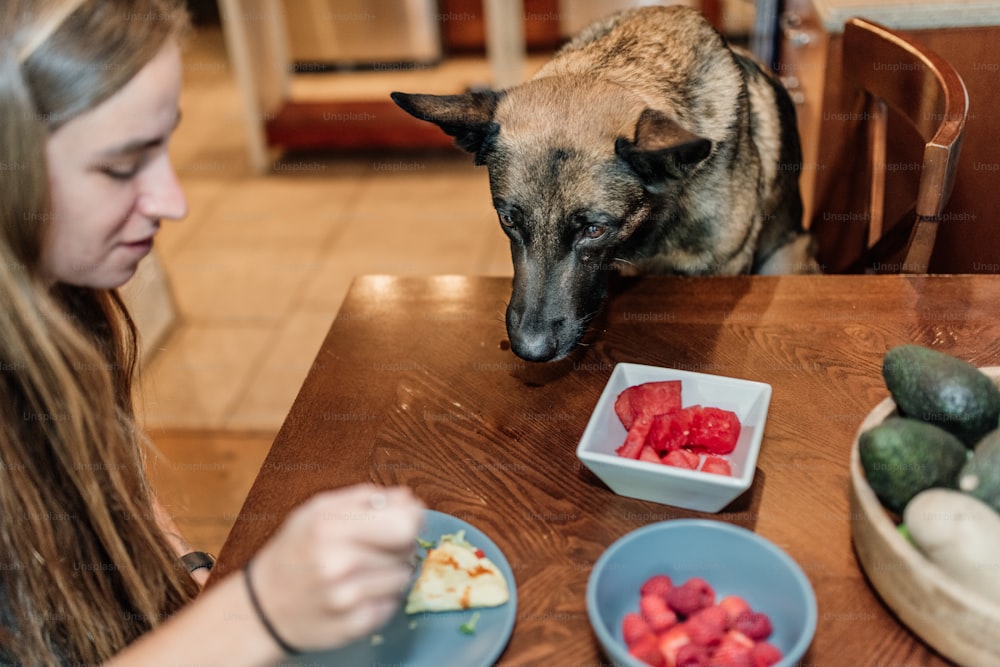 a woman sitting at a table with a dog looking at a plate of food