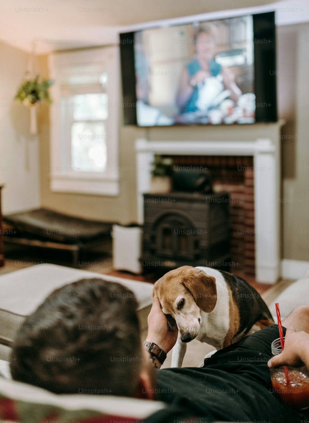 a man sitting on a couch watching tv with a dog on his lap