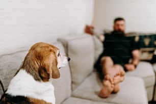 un homme assis sur un canapé à côté d’un chien