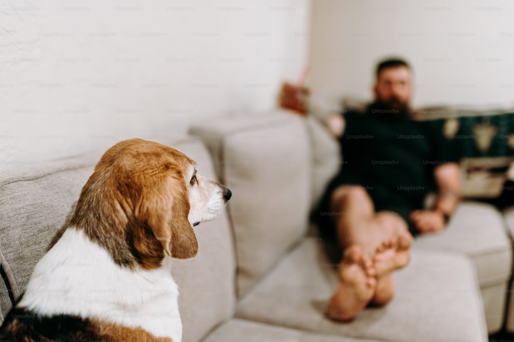 um homem sentado em um sofá ao lado de um cachorro