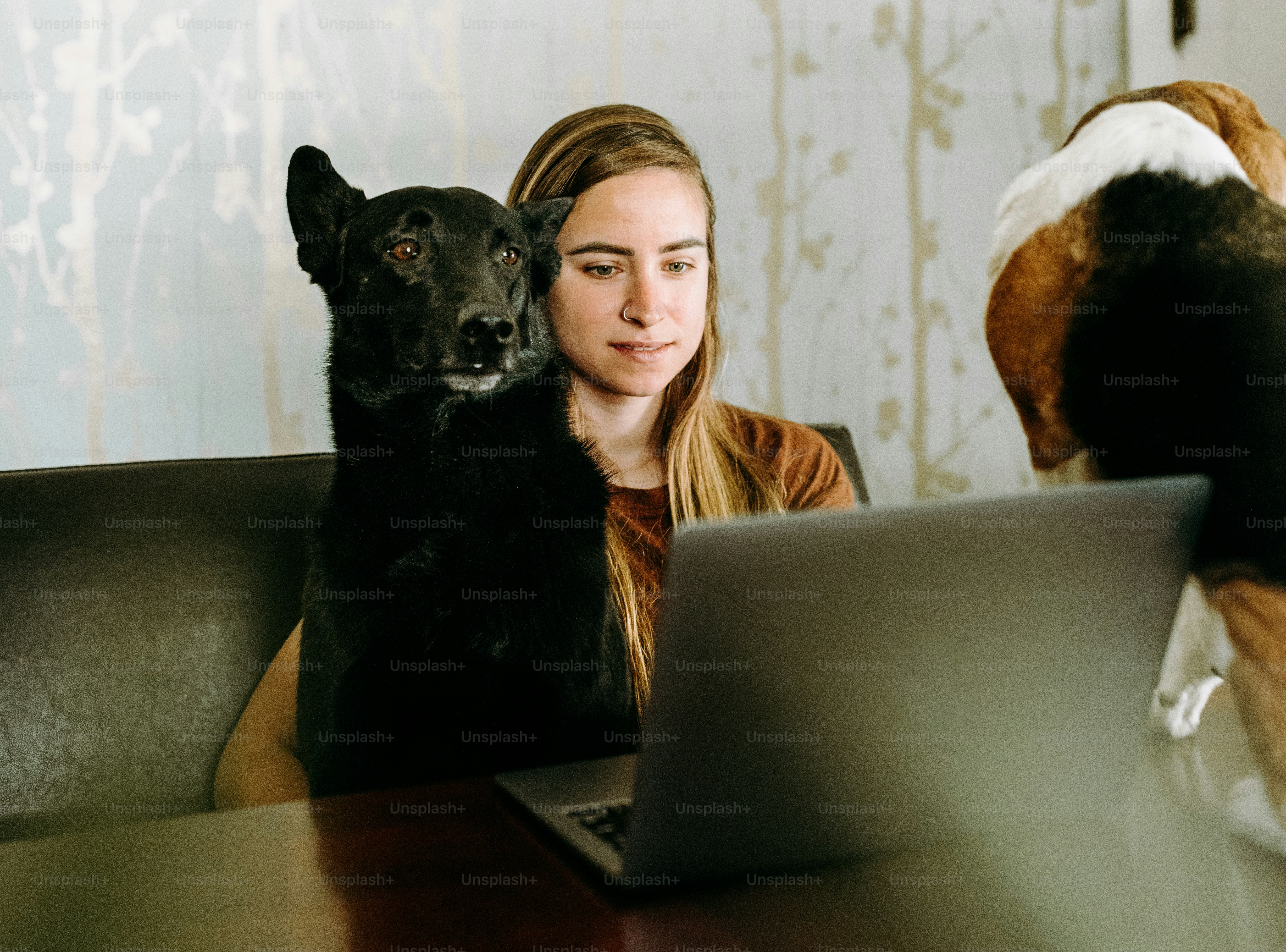 a woman sitting at a table with a laptop and a dog