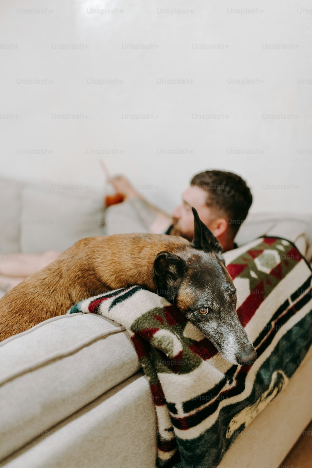 a man laying on a couch next to a dog