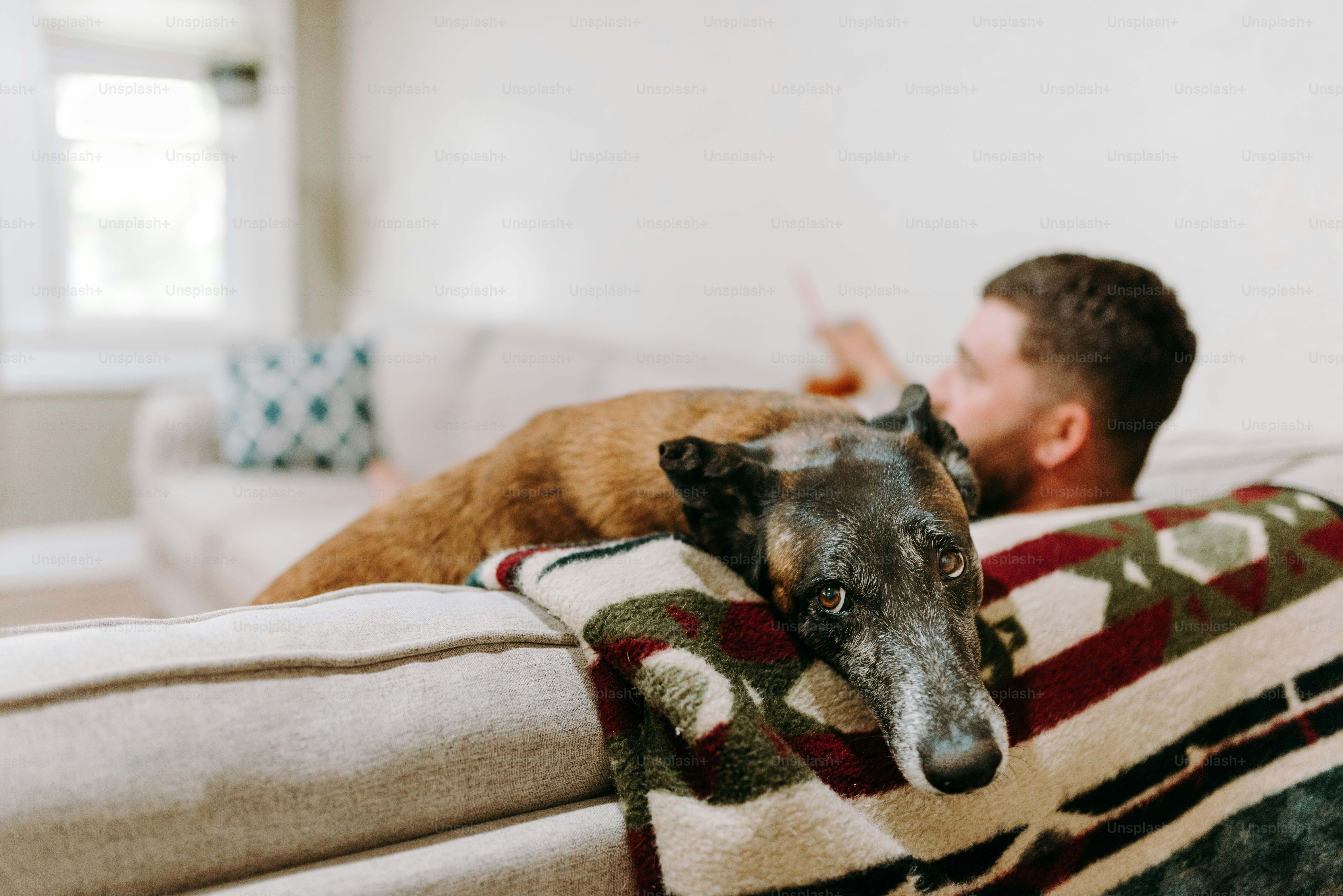 a man laying on a couch next to a dog