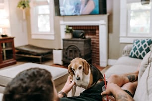 Un hombre sentado en un sofá sosteniendo a un perro
