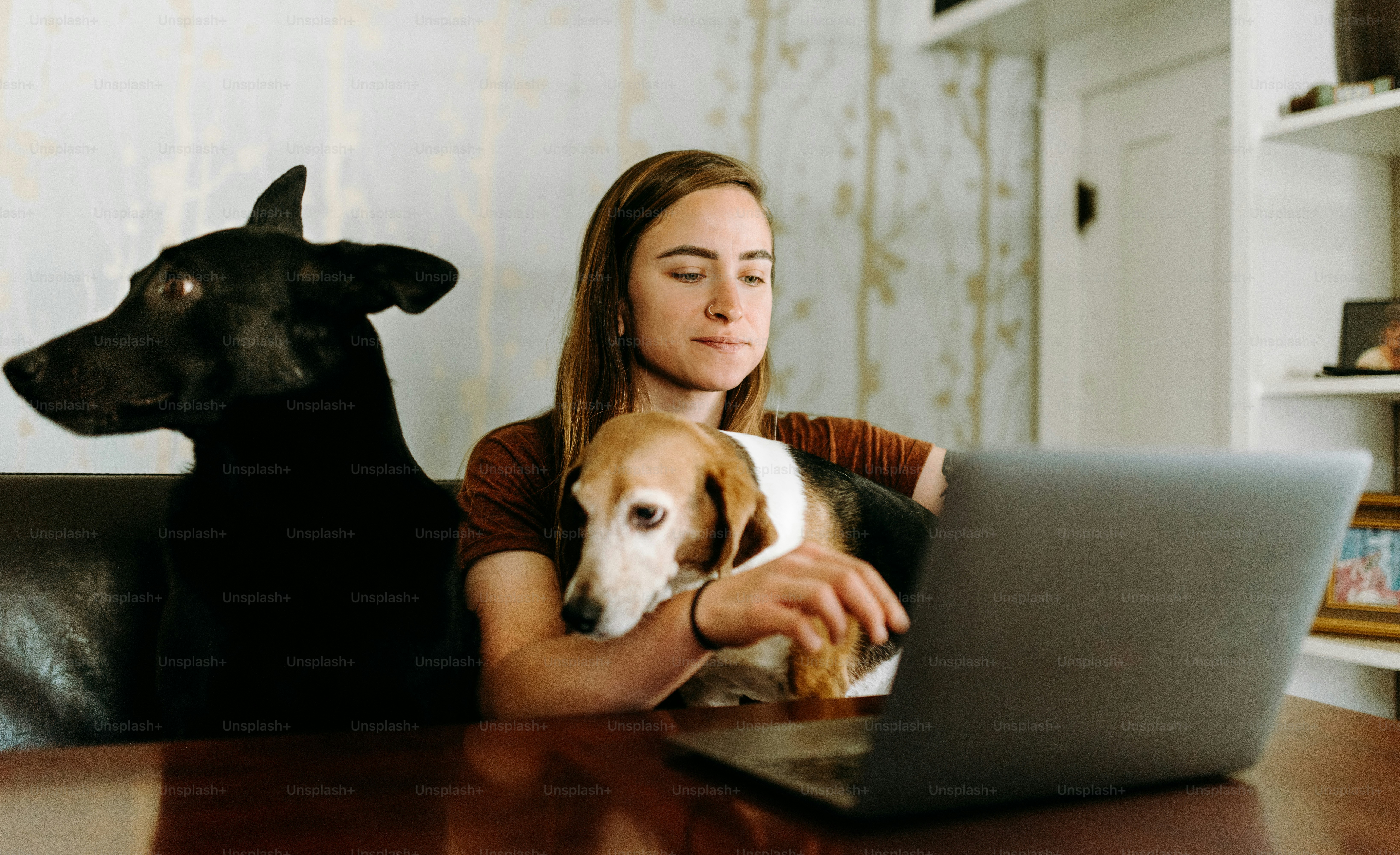 a woman sitting on a couch with a dog and a laptop