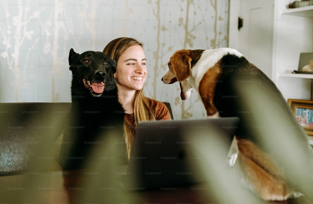 a woman sitting at a table with two dogs and a laptop
