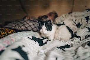 Un gatto in bianco e nero che si trova su un letto