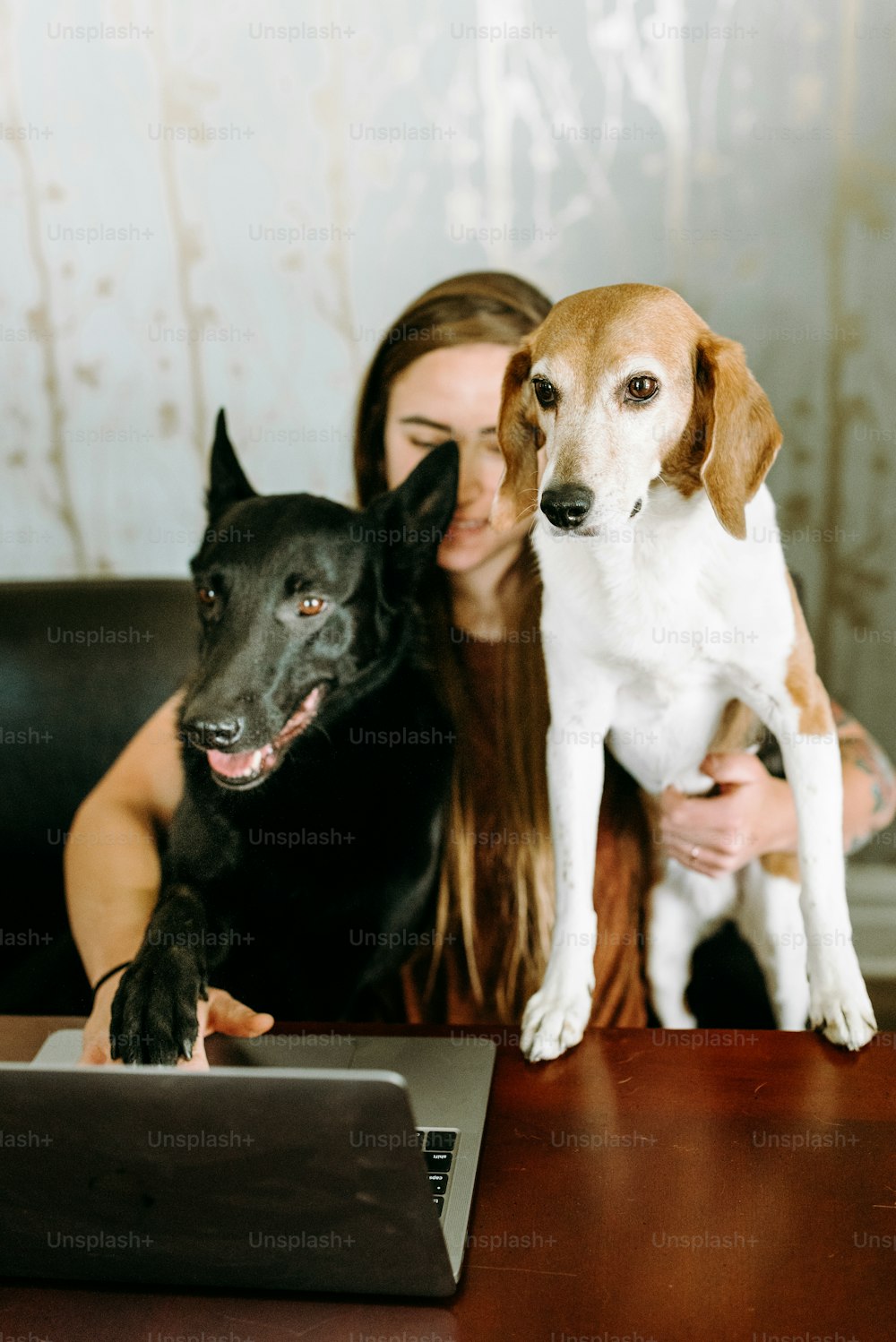 Eine Frau, die mit einem Hund auf dem Schoß an einem Schreibtisch sitzt