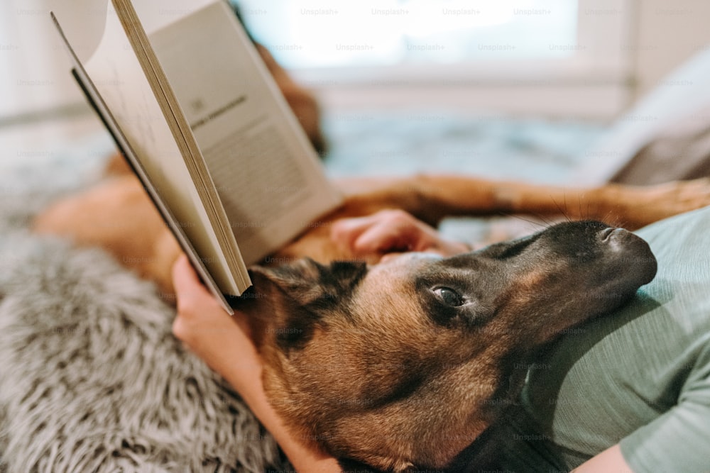 a person laying on a bed with a dog reading a book