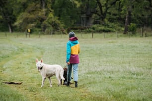 野原で犬を散歩させる人