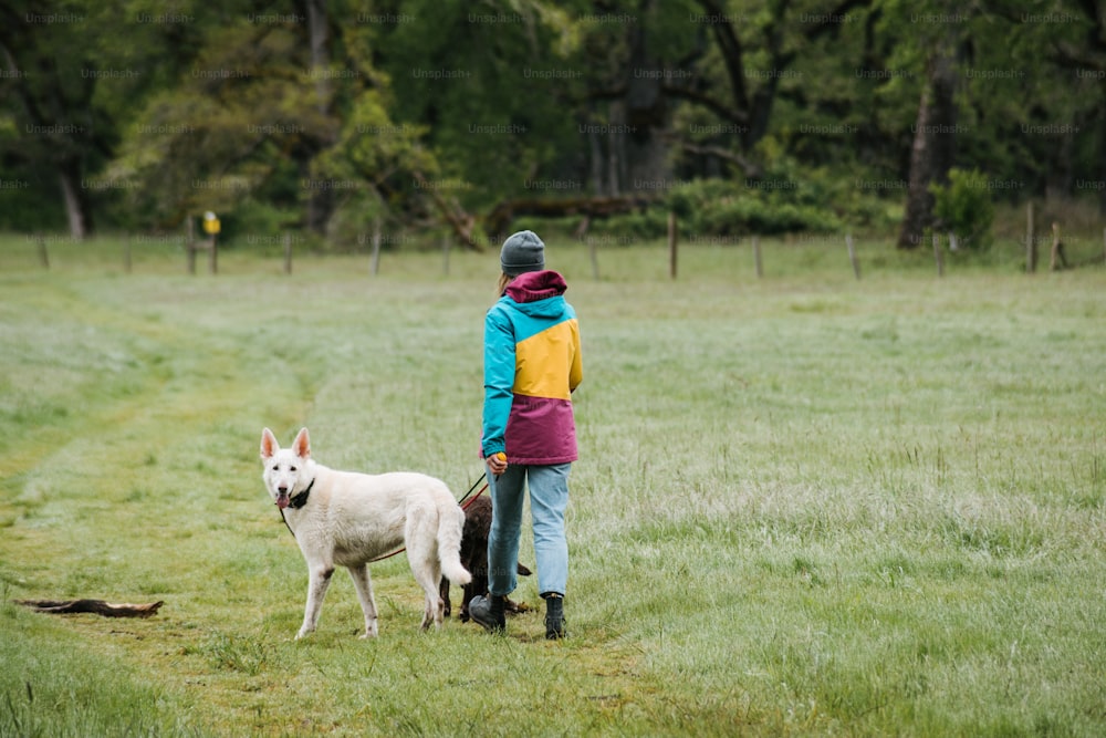 una persona che cammina un cane in un campo