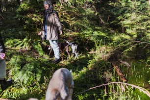 a man and a dog walking through a forest