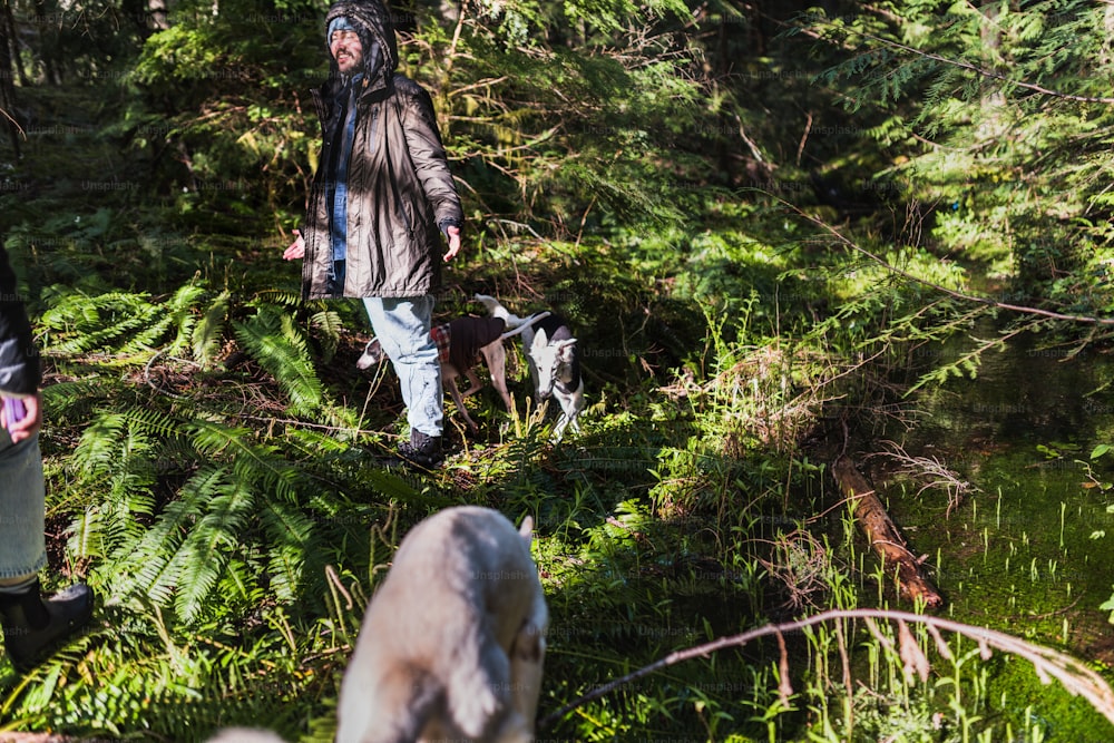 a man and a dog walking through a forest