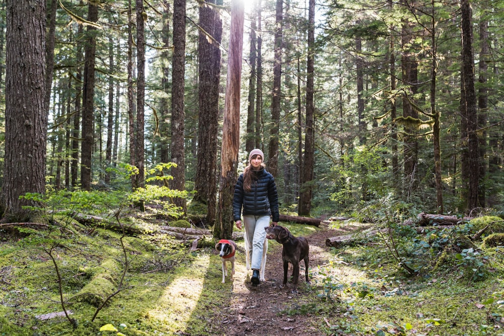 a woman walking two dogs through a forest