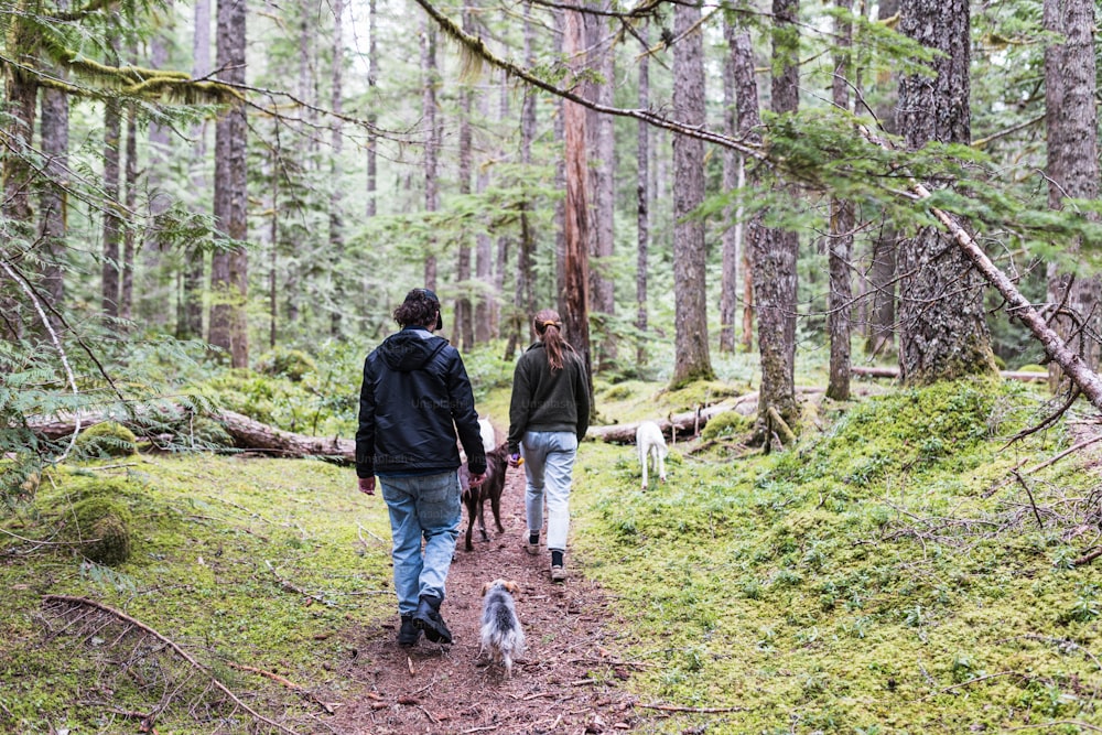 um homem e uma mulher passeando com um cachorro na floresta