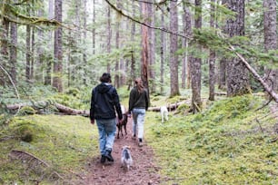 a man and a woman walking a dog in the woods