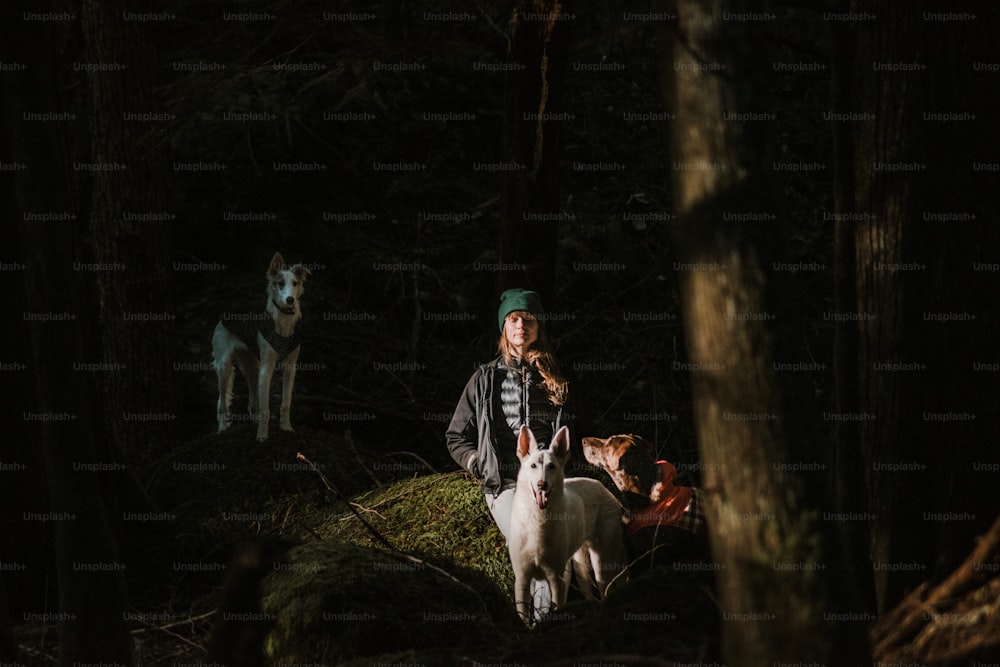Una mujer parada junto a dos perros en el bosque