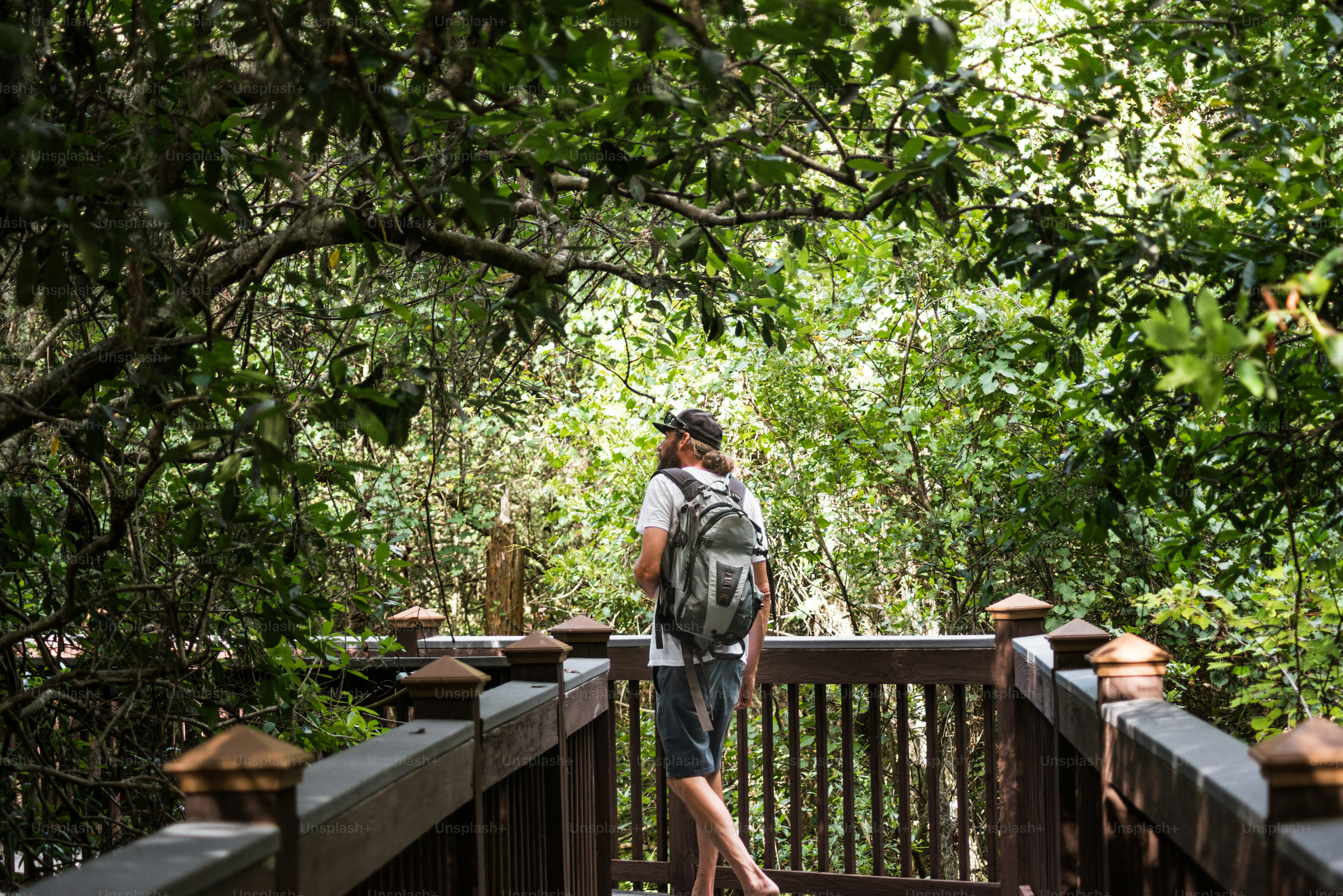 a person standing on a bridge in the woods