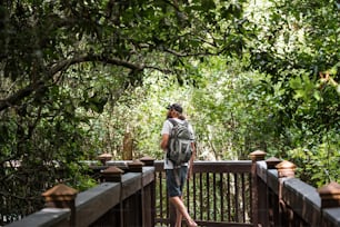 a person standing on a bridge in the woods