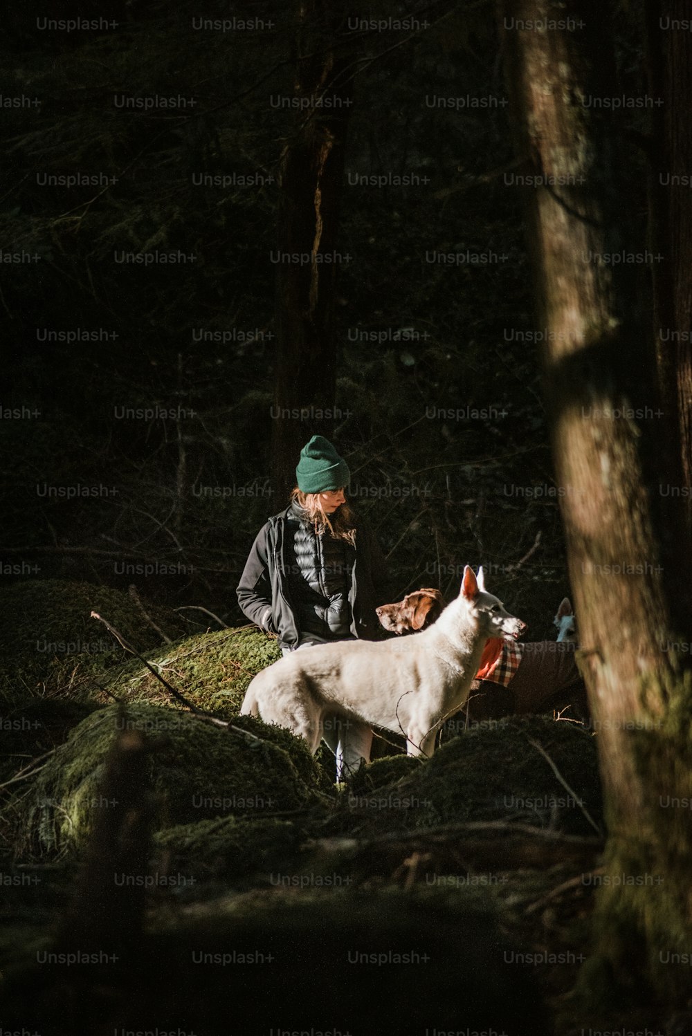 a man kneeling down next to a white sheep