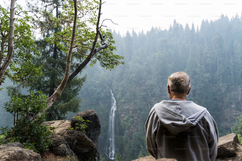 a man is looking at a waterfall in the woods