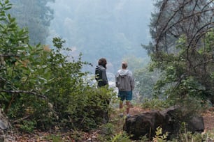 a couple of people standing on top of a lush green forest