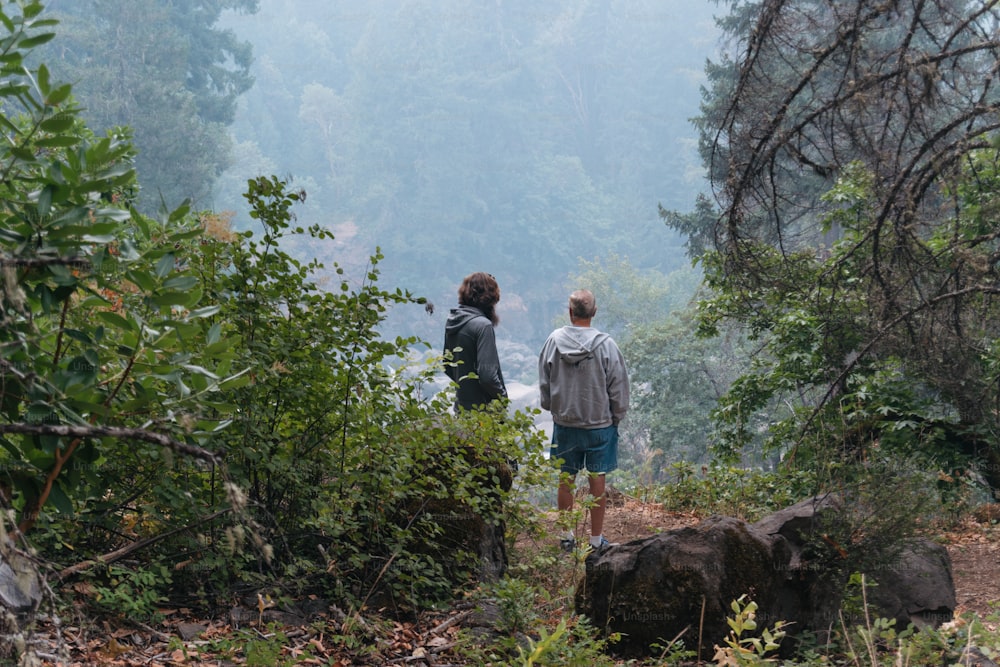 a couple of people standing on top of a lush green forest