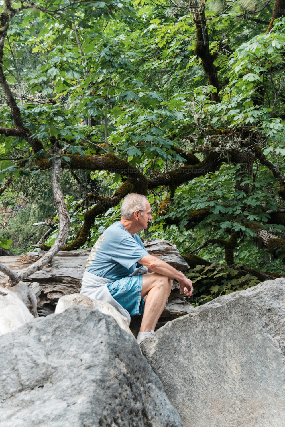 a man sitting on top of a large rock next to a forest