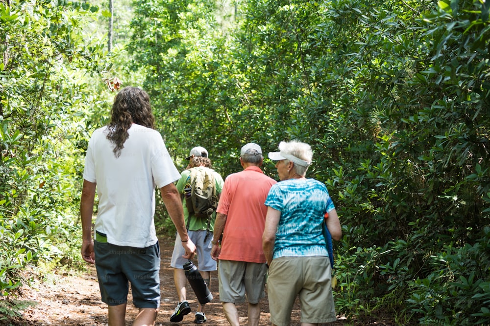 um grupo de pessoas caminhando por uma floresta
